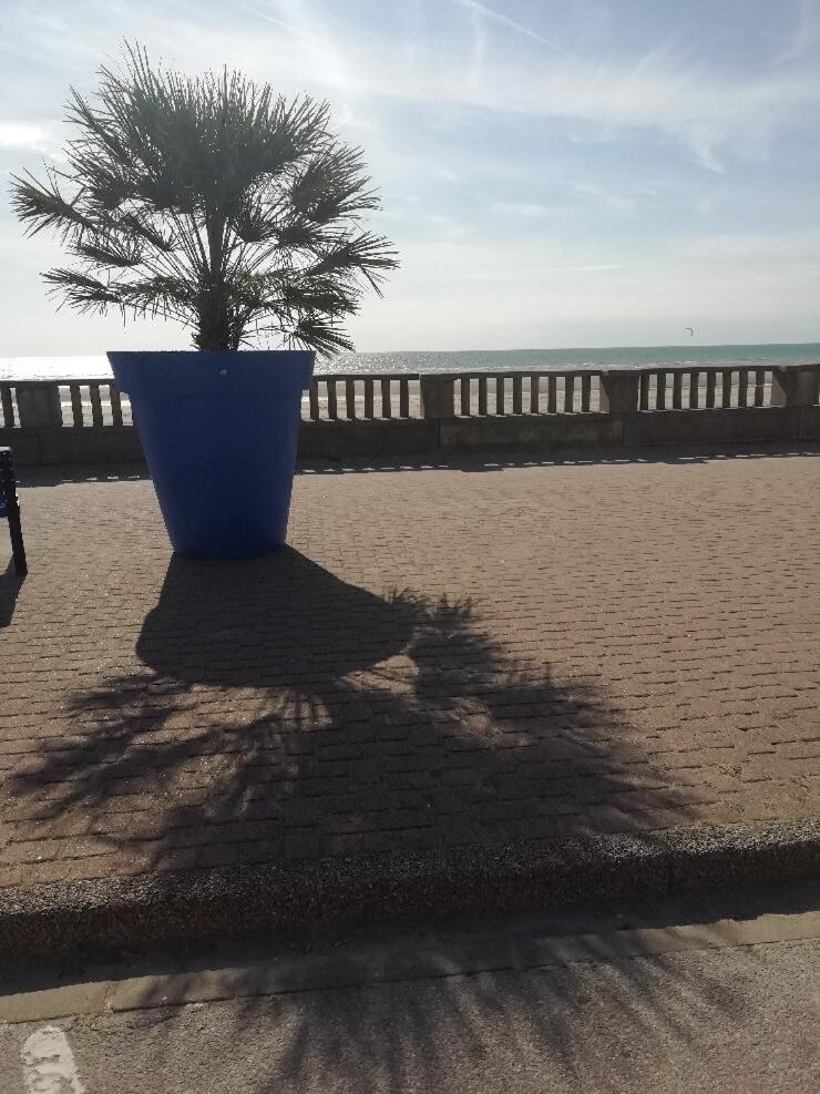 T3 Rez-De-Chaussee Lumineux Avec Terrasse Proche Plage Cucq Extérieur photo