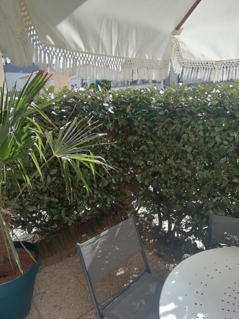 T3 Rez-De-Chaussee Lumineux Avec Terrasse Proche Plage Cucq Extérieur photo